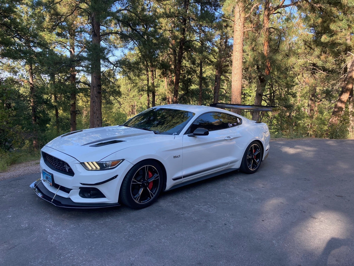APR Performance Ford Mustang S550 GT-250 Adjustable Wing 2015-2017
